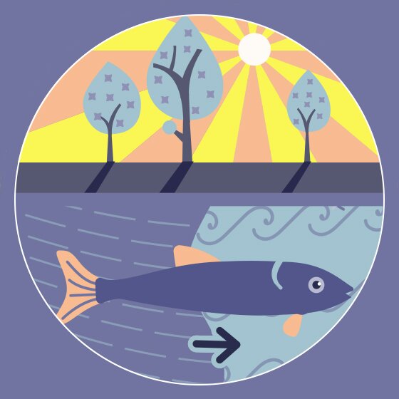 Le grand voyage de Salmo