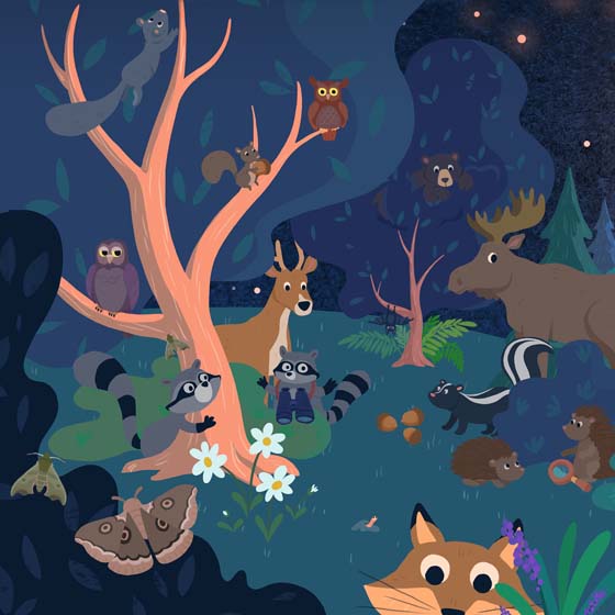 Activity Booklet Vive la nuit !