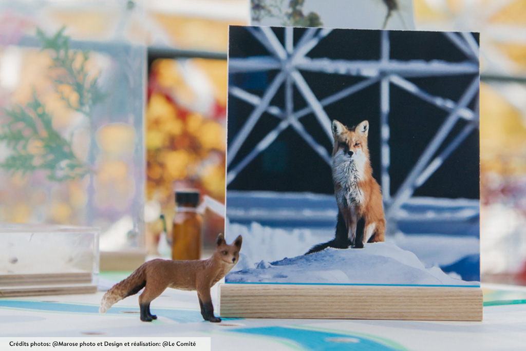 nature_pres_chez_vous_5